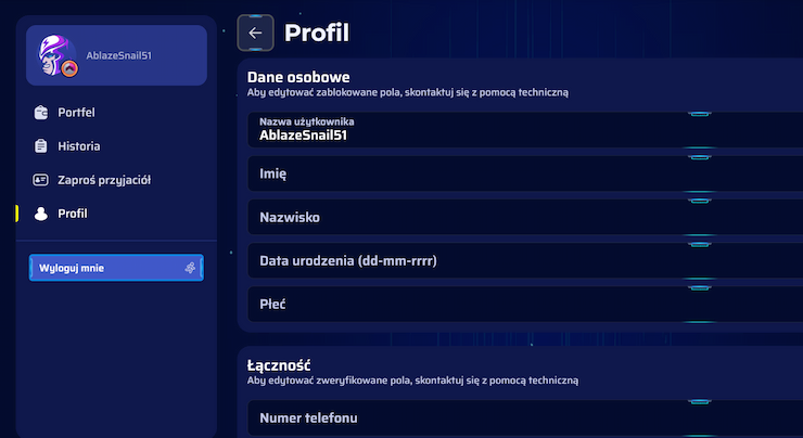 magnetics slots rejestracja 2
